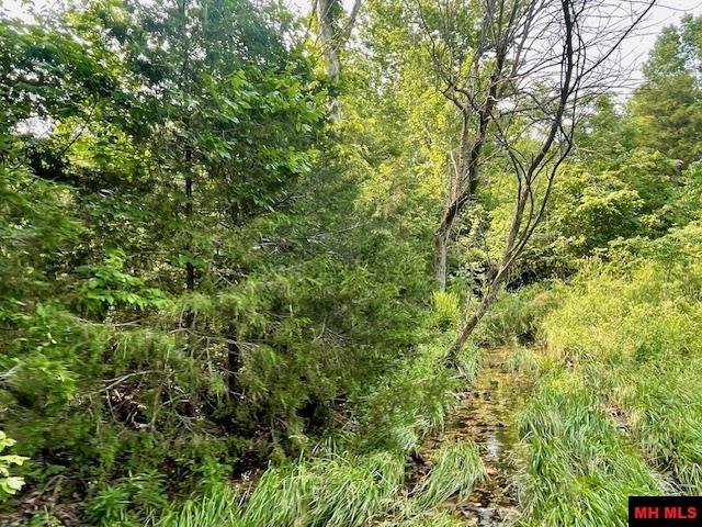 1628 CR 39 Mountain Home, AR 72653