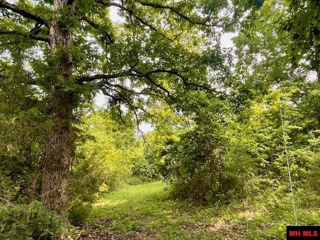 1628 CR 39 Mountain Home, AR 72653
