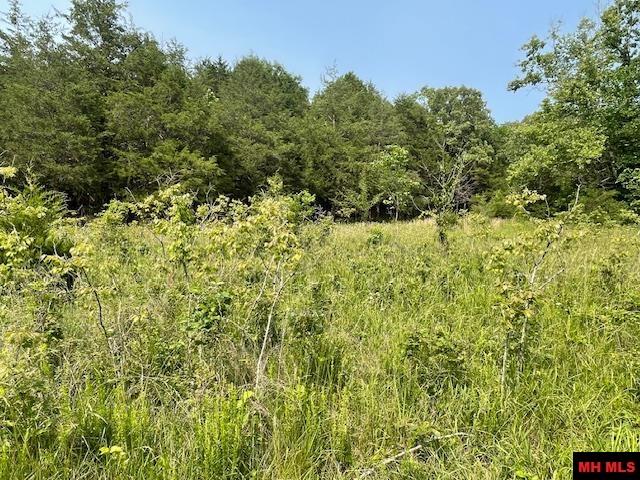 1628 CR 39 Mountain Home, AR 72653