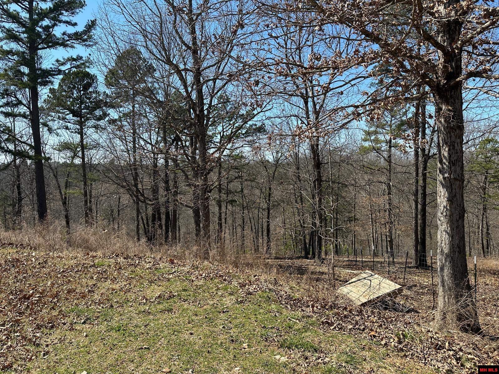 231 JONES ROAD Yellville, AR