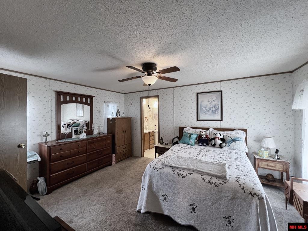 19 FLECK DRIVE Mountain Home, AR