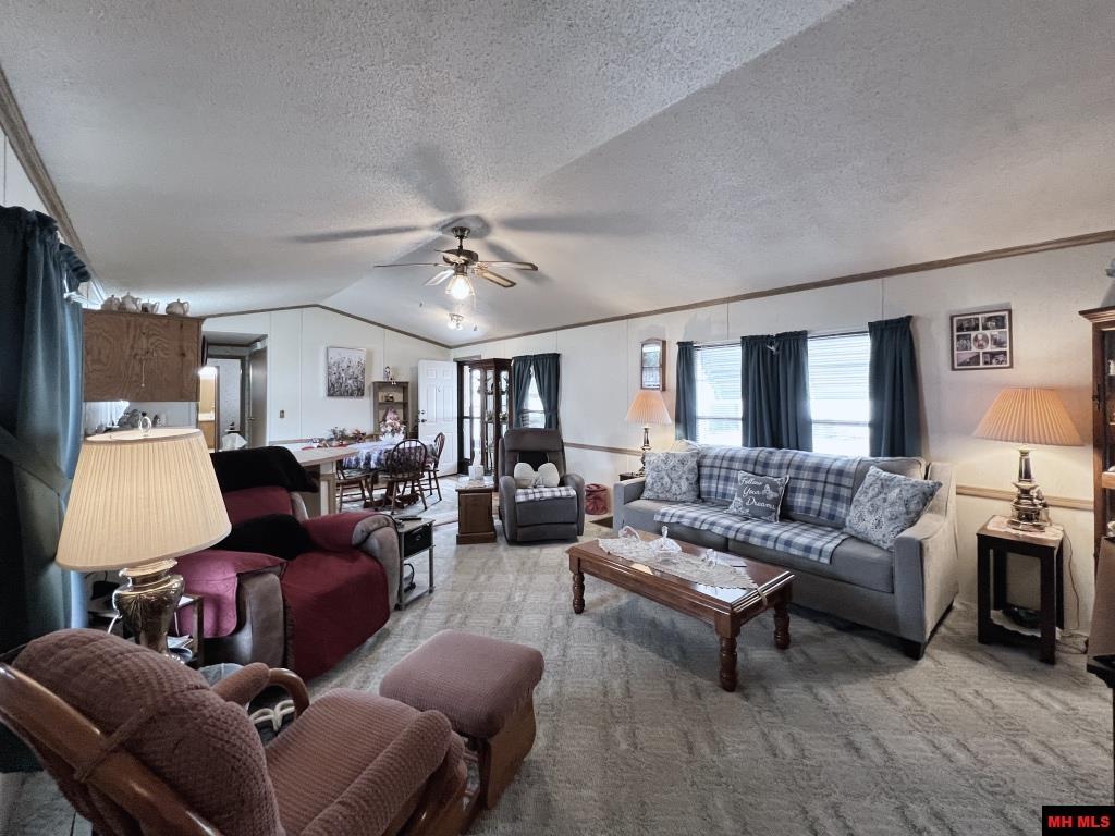 19 FLECK DRIVE Mountain Home, AR