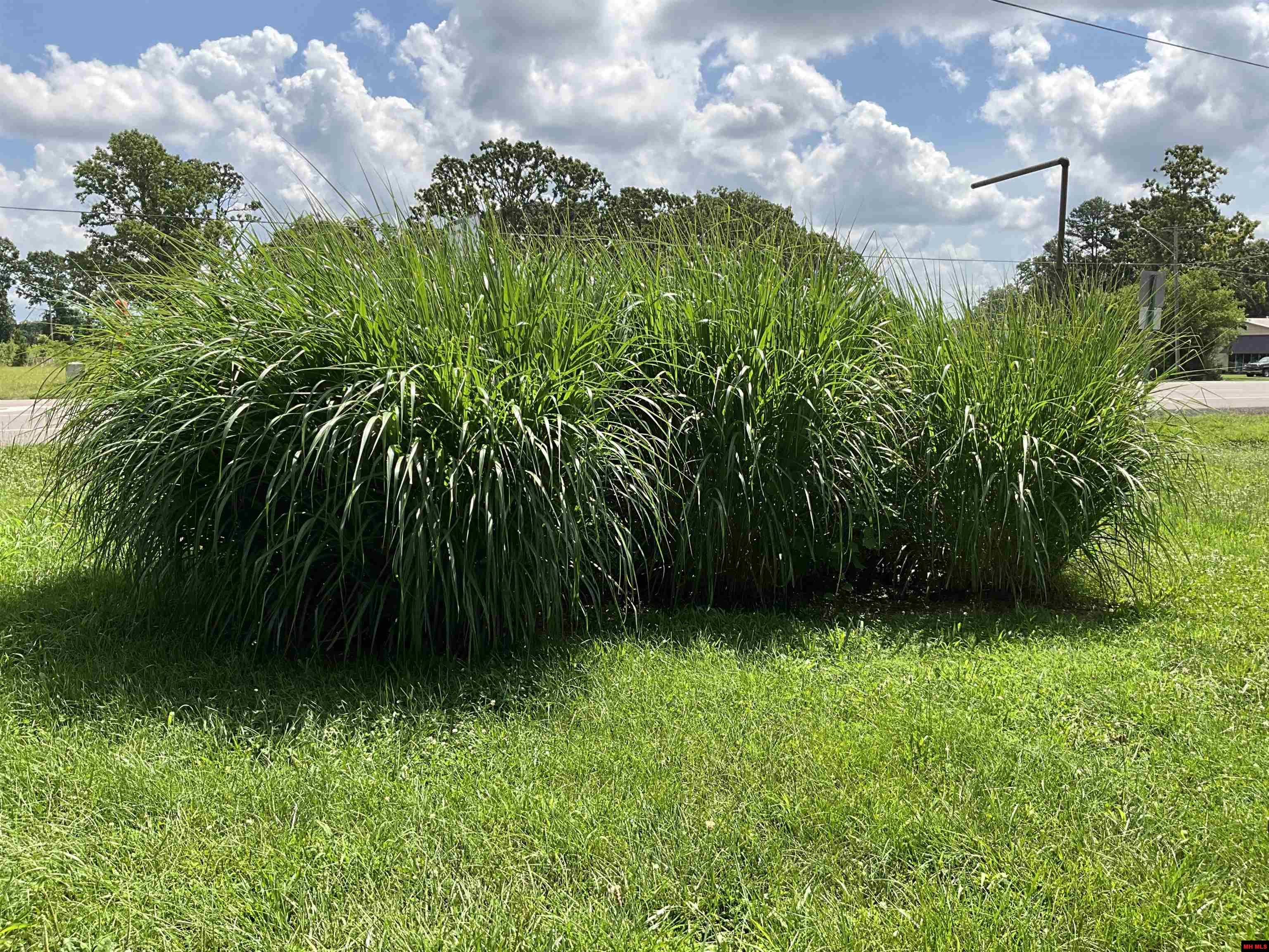 1681 S SOUTH US HIGHWAY 63 West Plains, MO 65775-0000