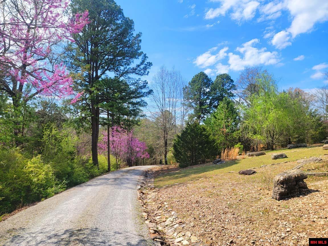 1483 CHESSMOND FERRY ROAD Calico Rock, AR