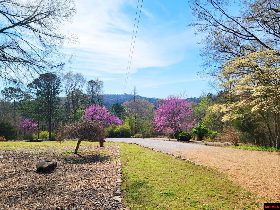 1483 CHESSMOND FERRY ROAD Calico Rock, AR