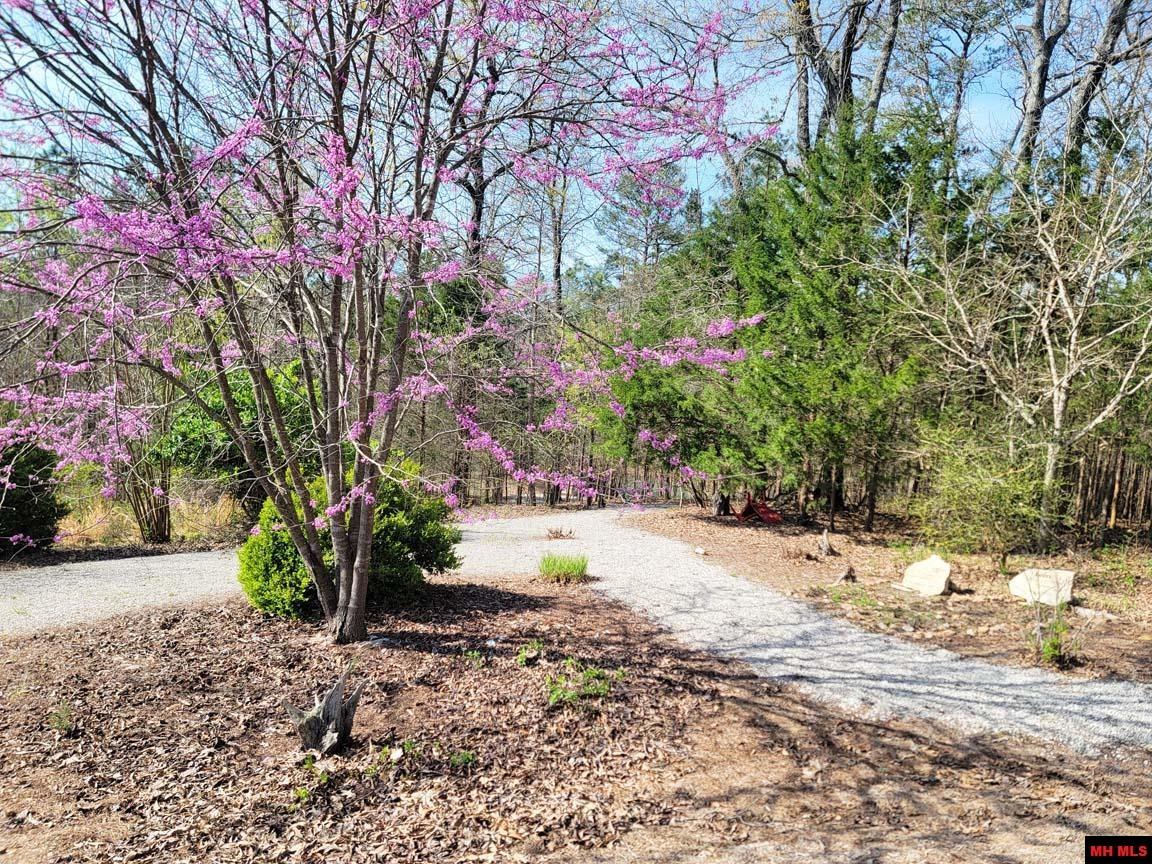 1483 CHESSMOND FERRY ROAD Calico Rock, AR