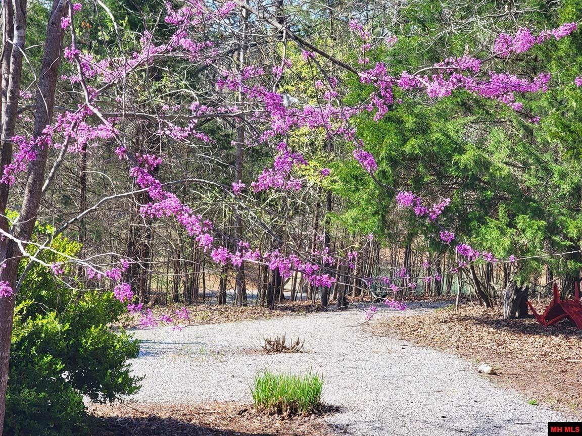 1483 CHESSMOND FERRY ROAD Calico Rock, AR