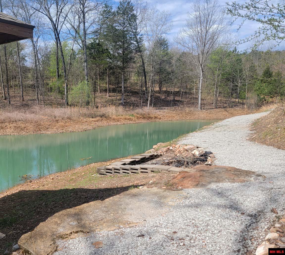 1483 CHESSMOND FERRY ROAD Calico Rock, AR