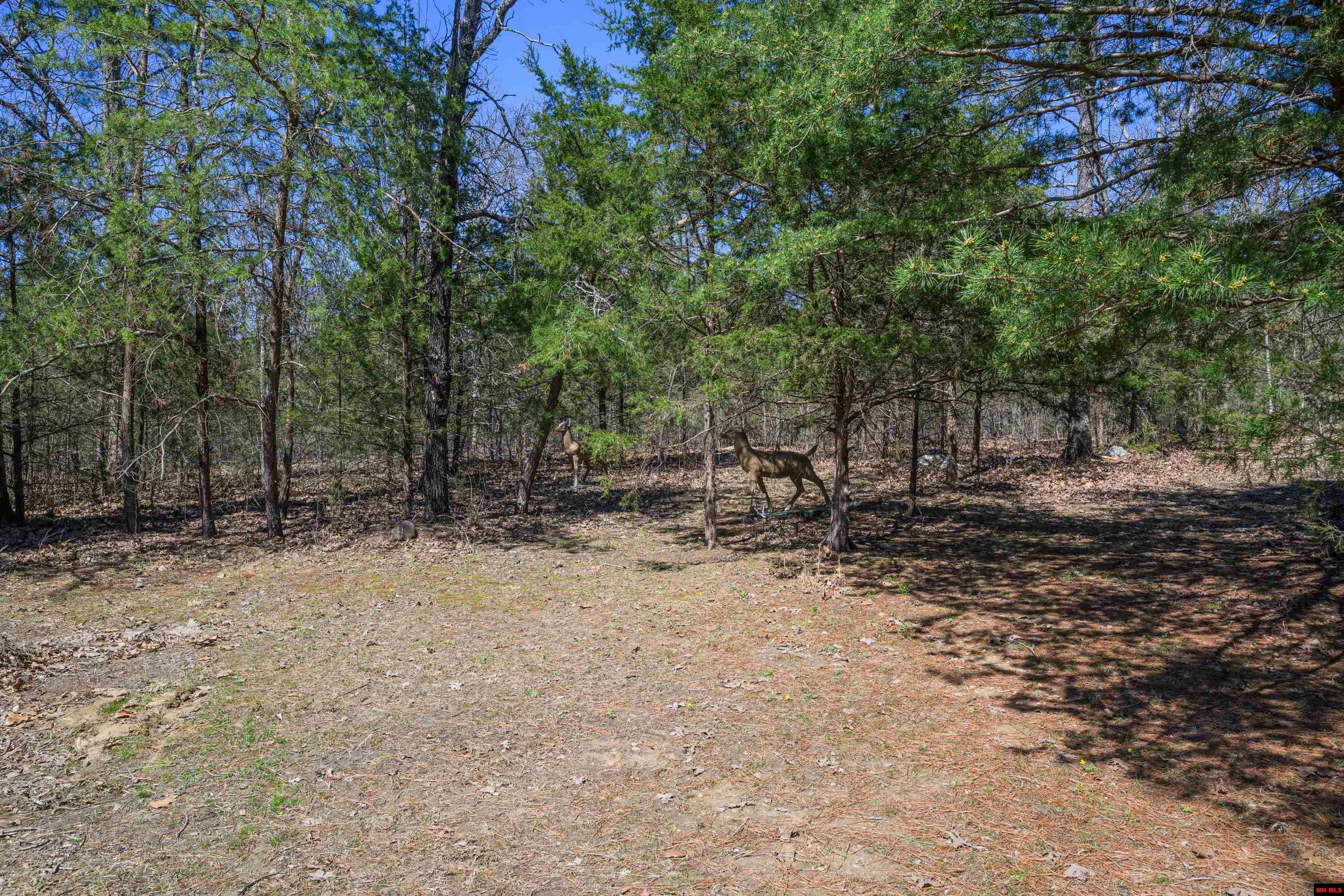 417 CR 1175 Mountain Home, AR