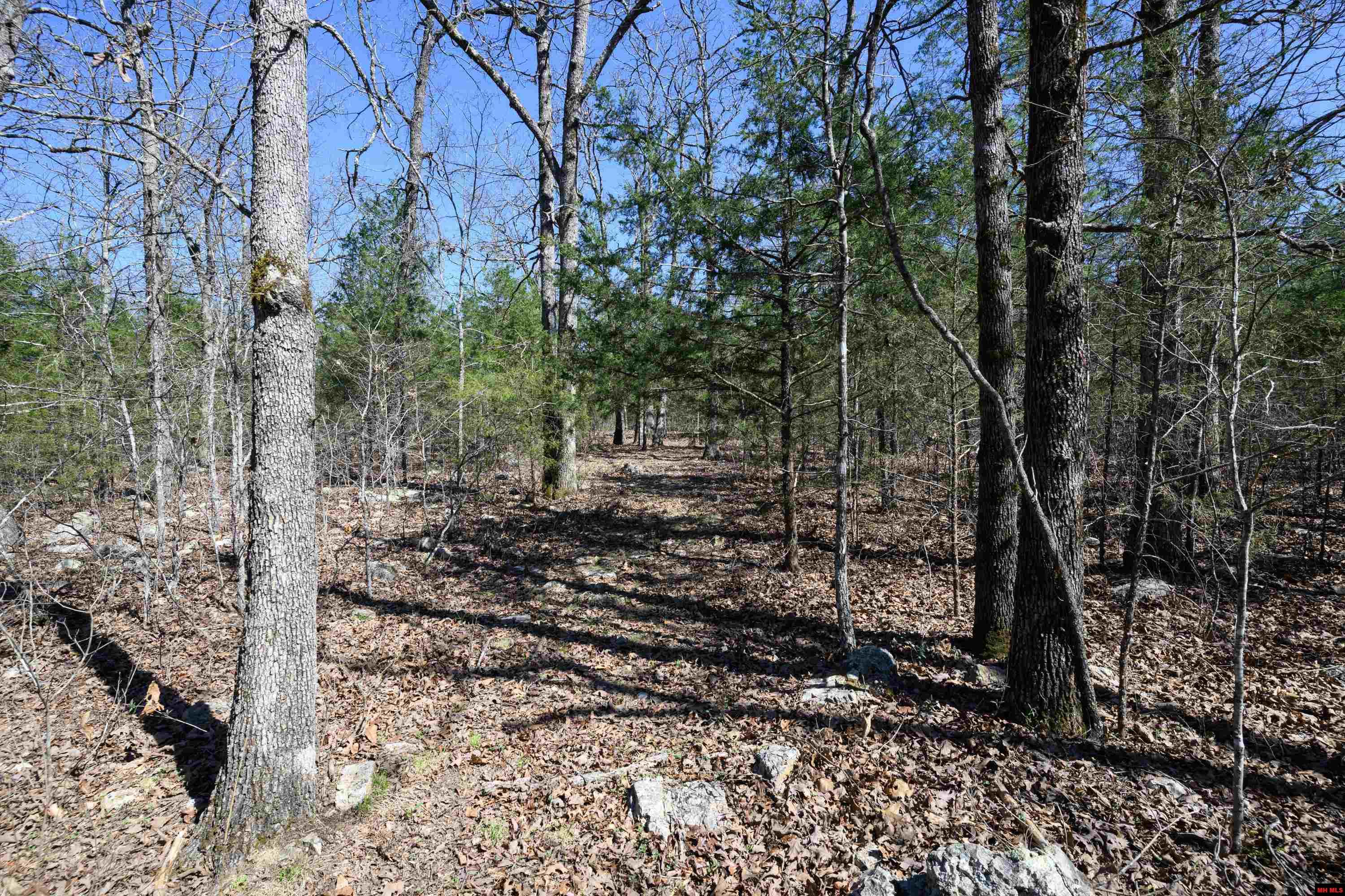 417 CR 1175 Mountain Home, AR