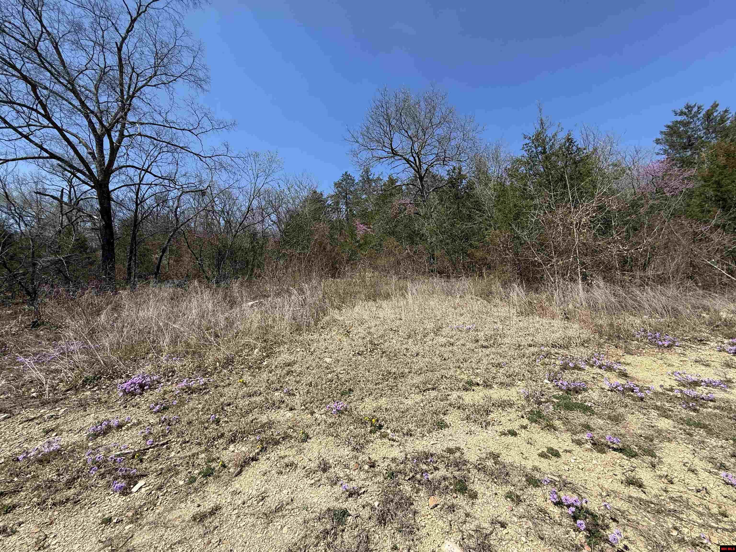109 CR 227 Calico Rock, AR