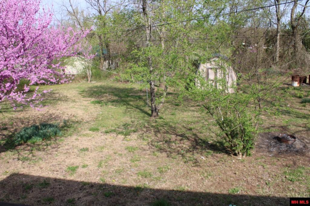 136 LOCUST STREET Lead Hill, AR