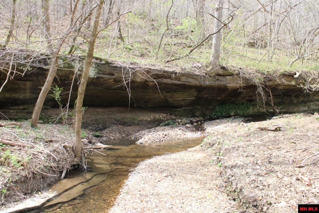 3841 TALL OAKS LANE Harrison, AR 72601