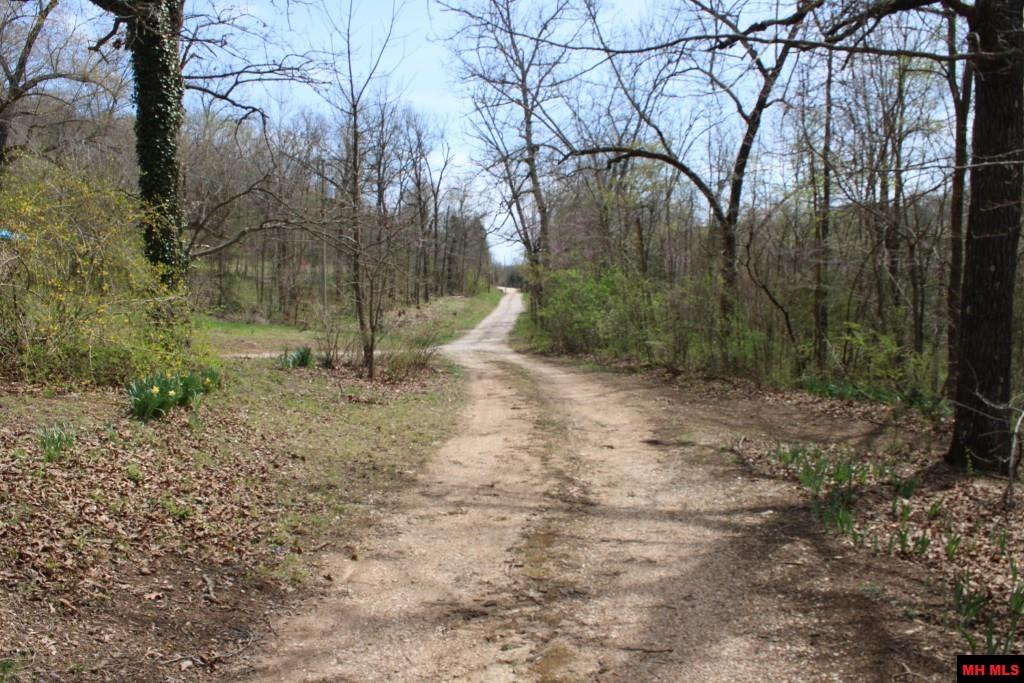 3841 TALL OAKS LANE Harrison, AR 72601