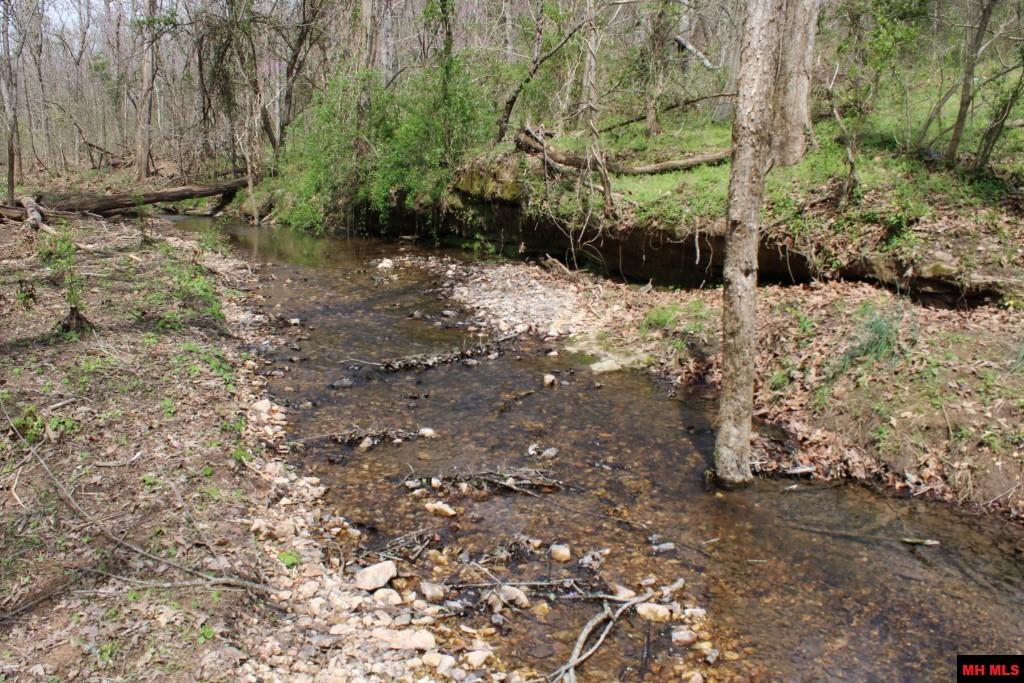 3841 TALL OAKS LANE Harrison, AR 72601