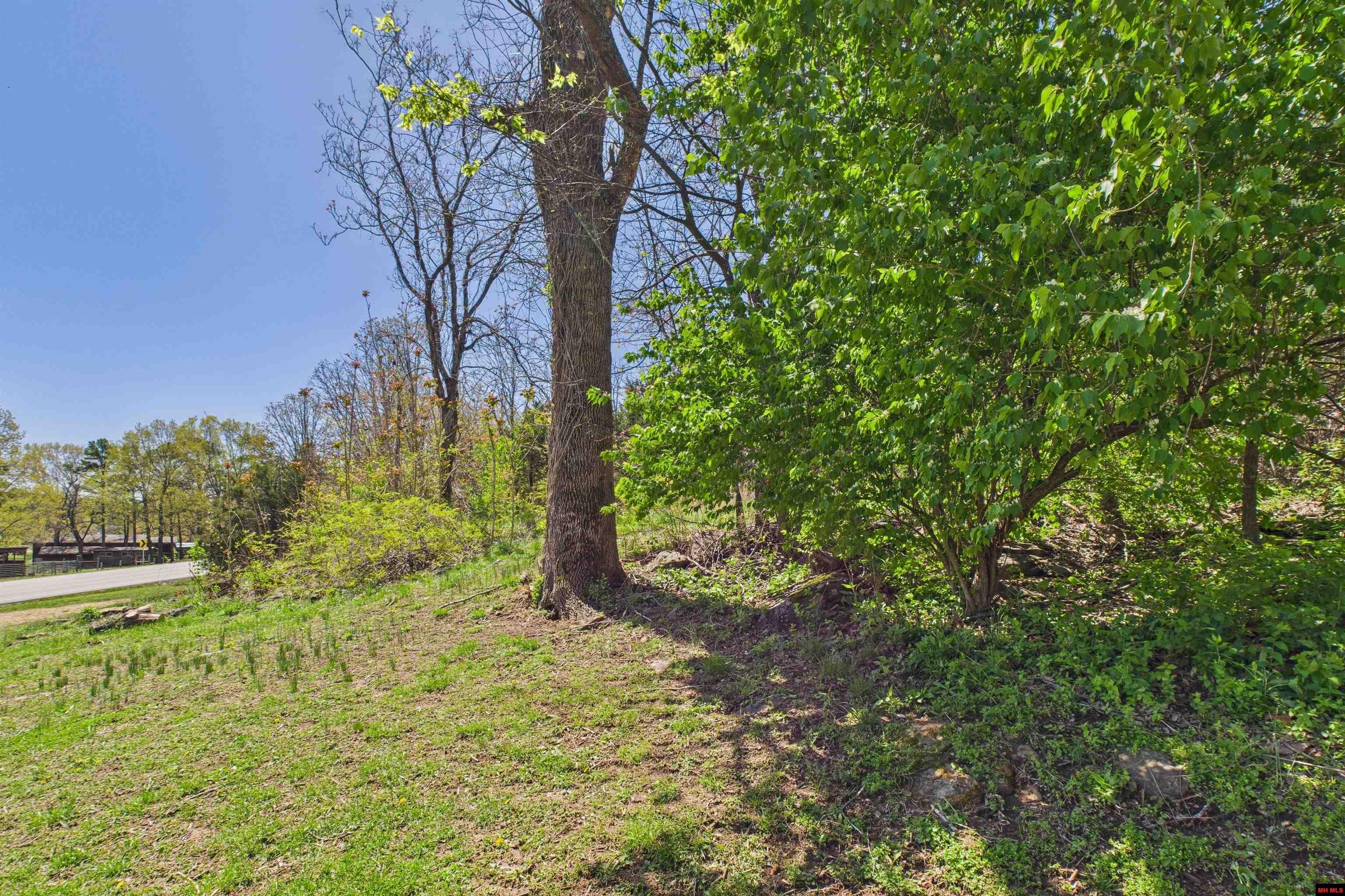 6595 PUSH MOUNTAIN ROAD Norfork, AR 72658