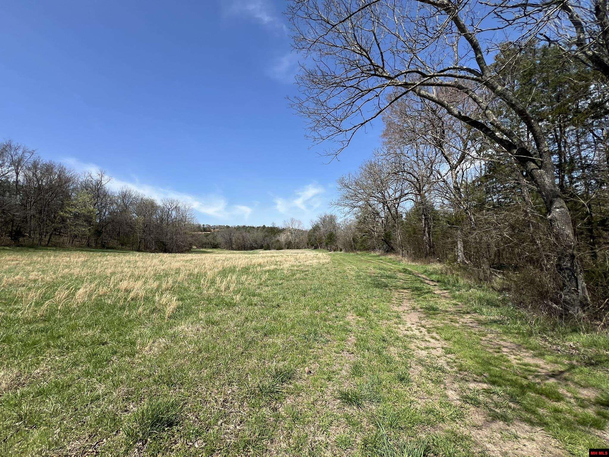 MC 6075 Yellville, AR 72687
