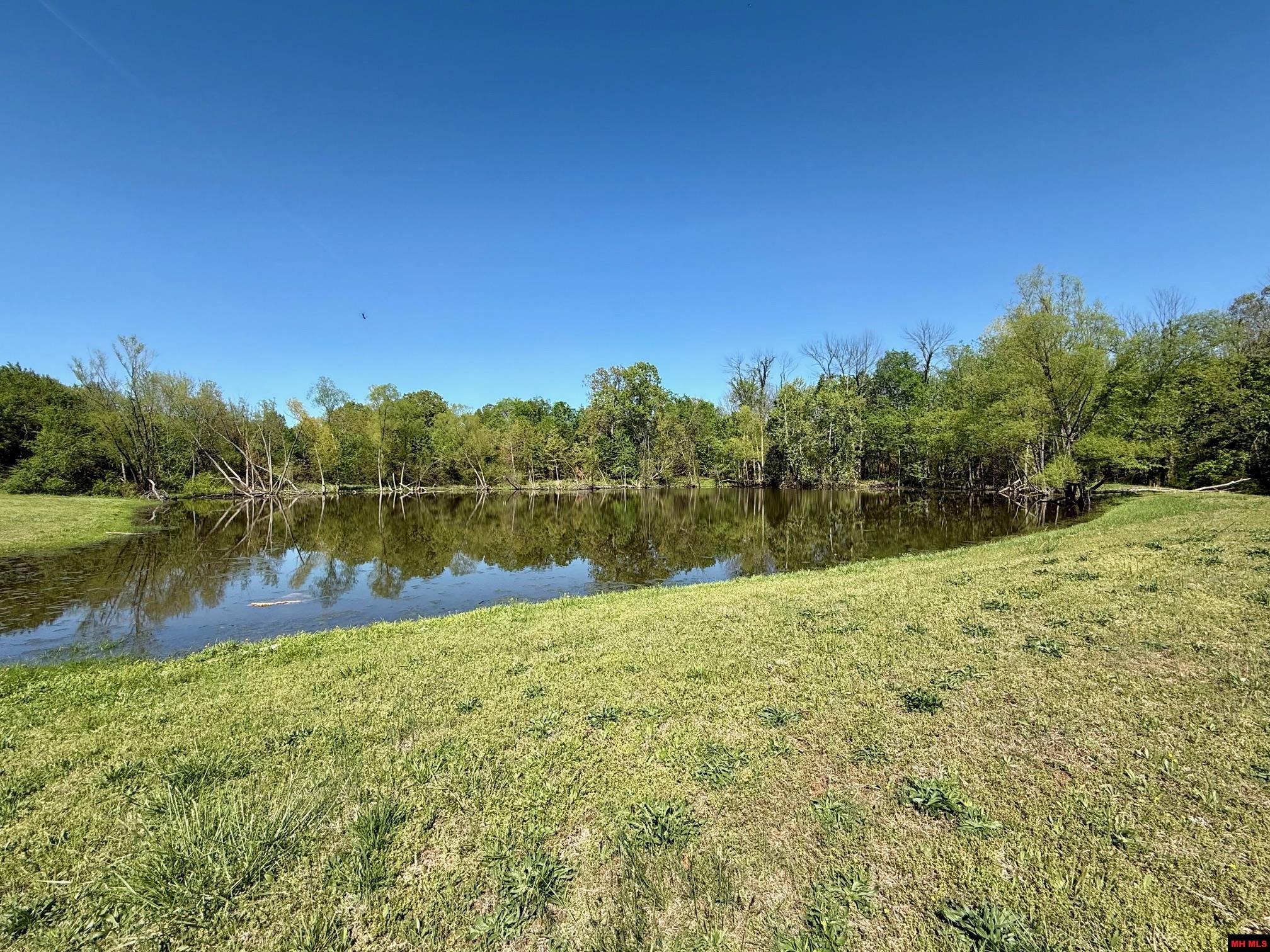 51 RIVER RUN DRIVE Gassville, AR