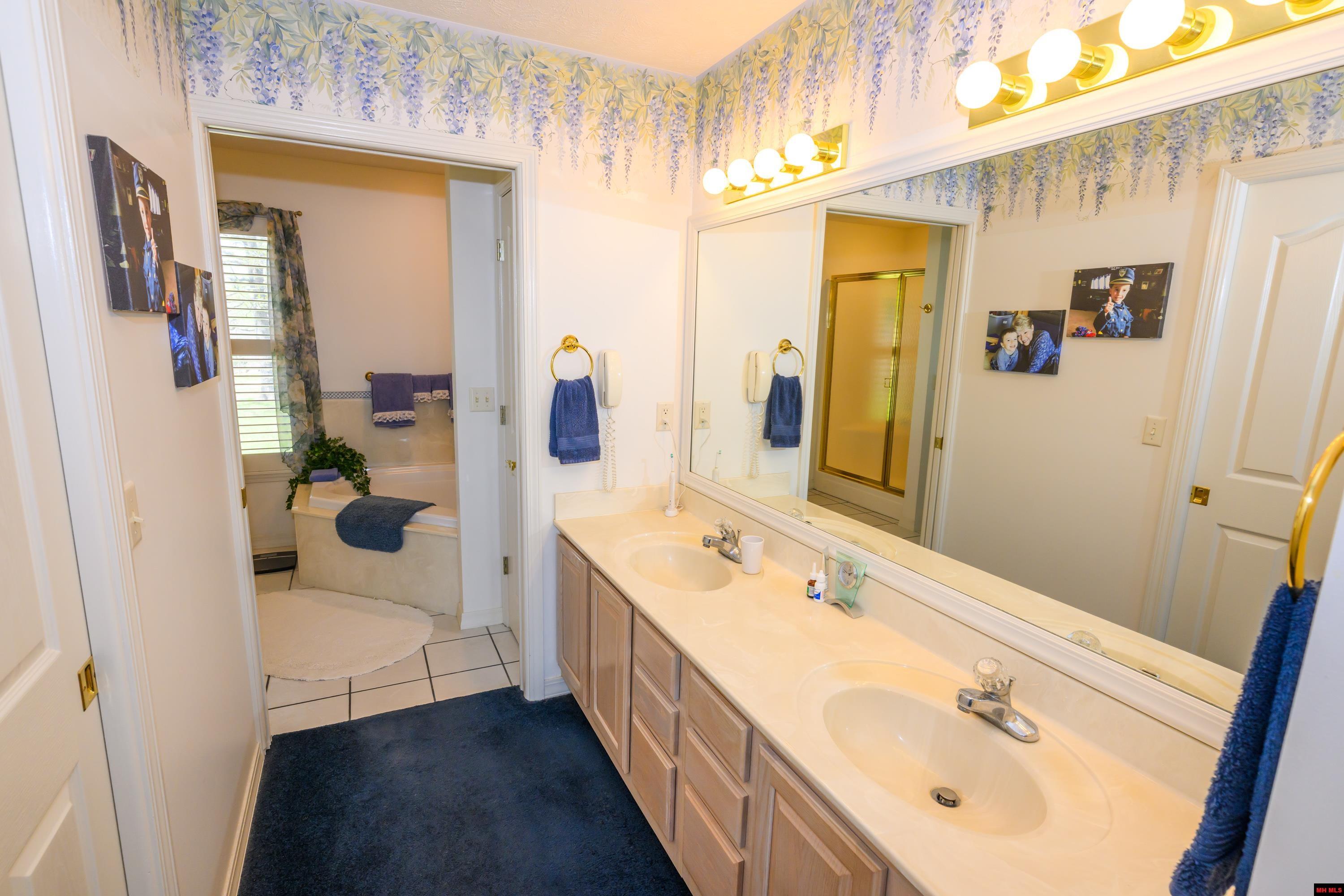 877 LAKE POINT BLUFF Clarkridge, AR