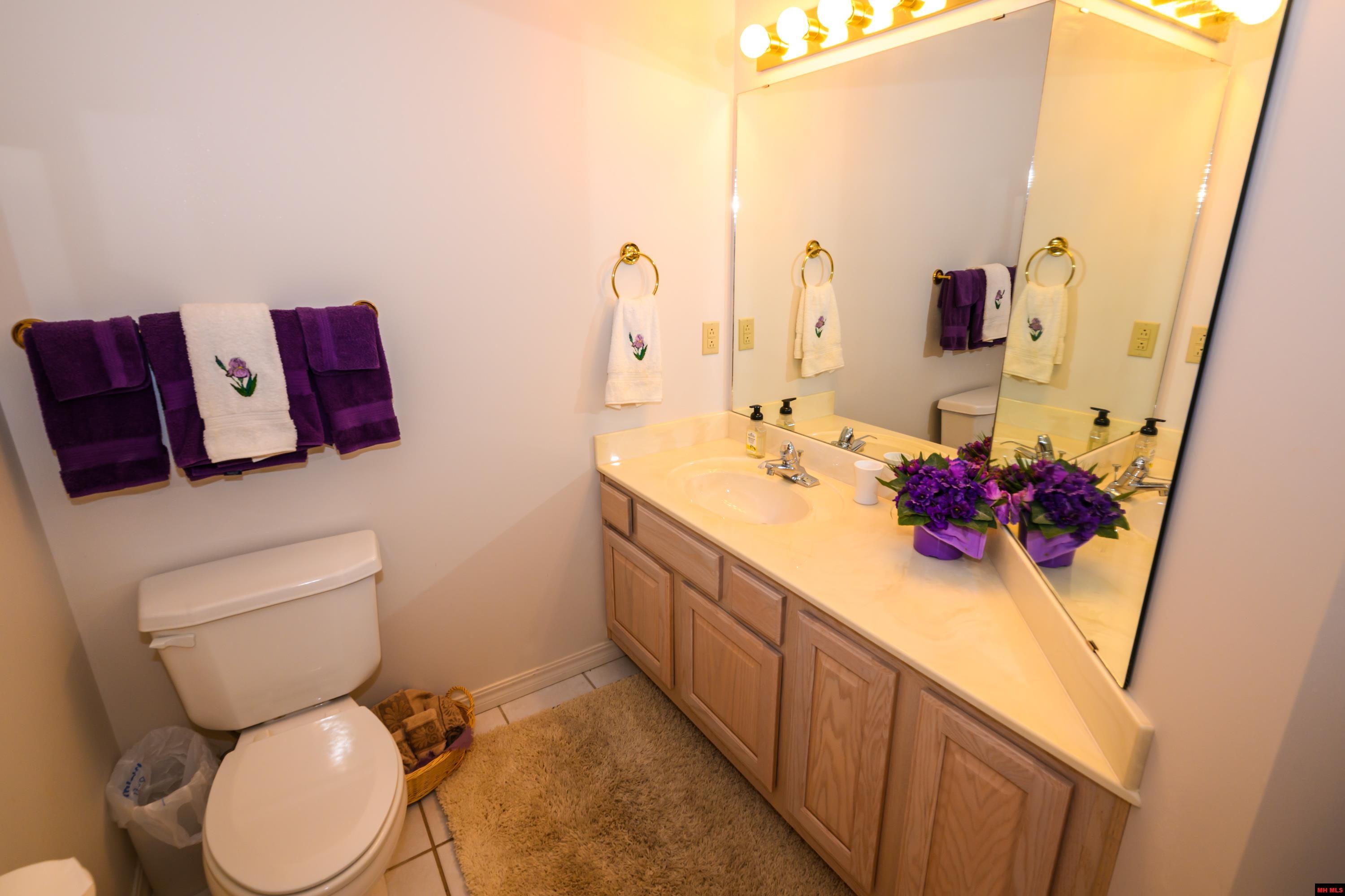 877 LAKE POINT BLUFF Clarkridge, AR