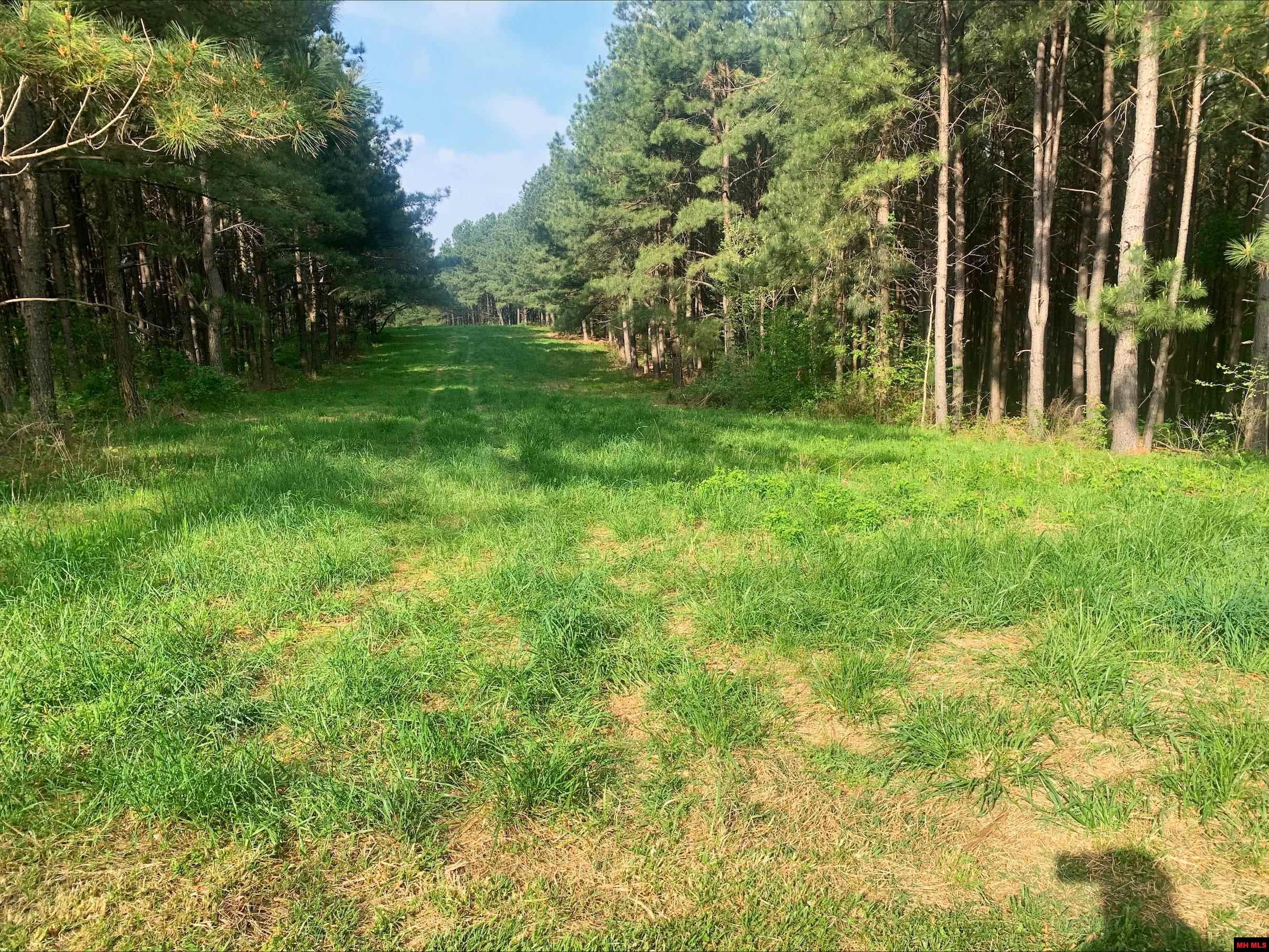 515 MC 5032 Yellville, AR 72687