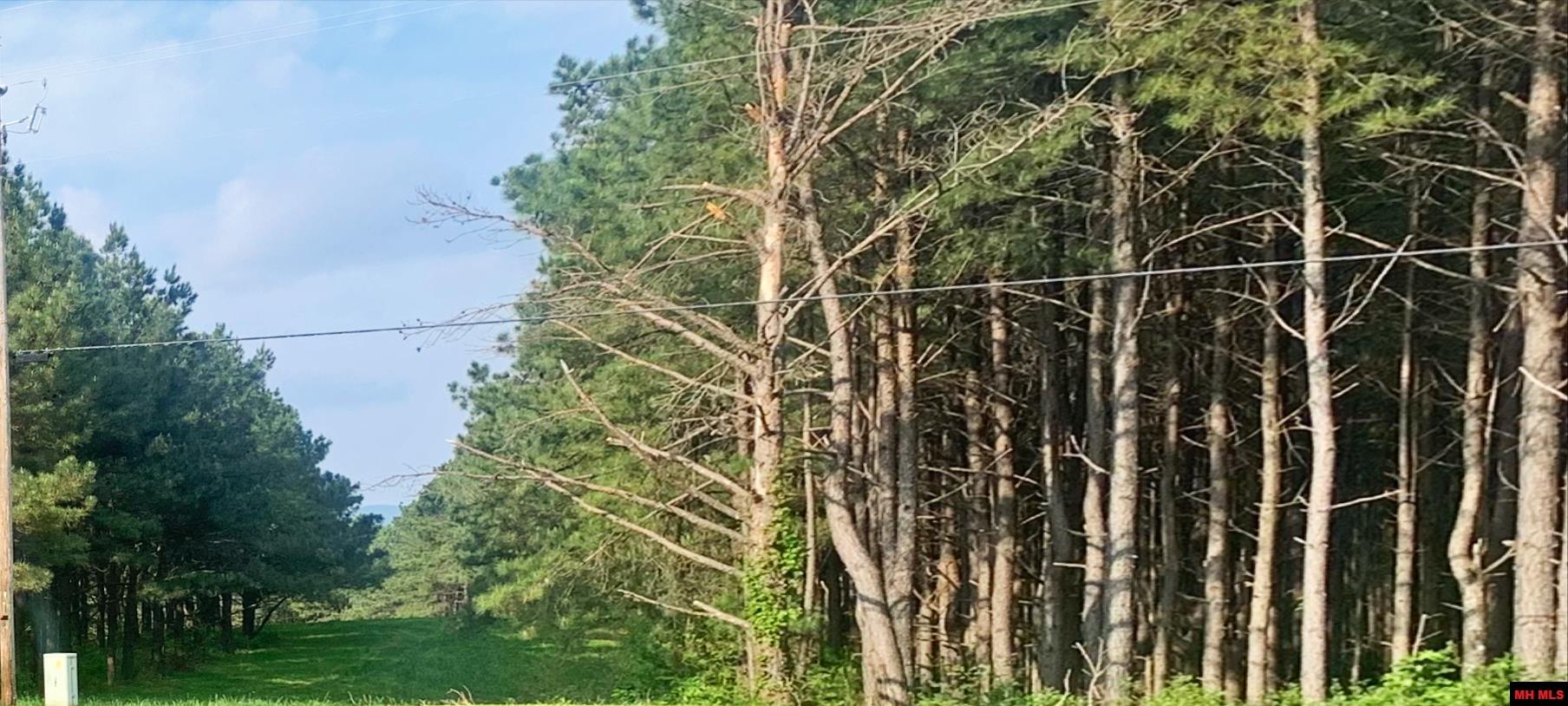 515 MC 5032 Yellville, AR 72687