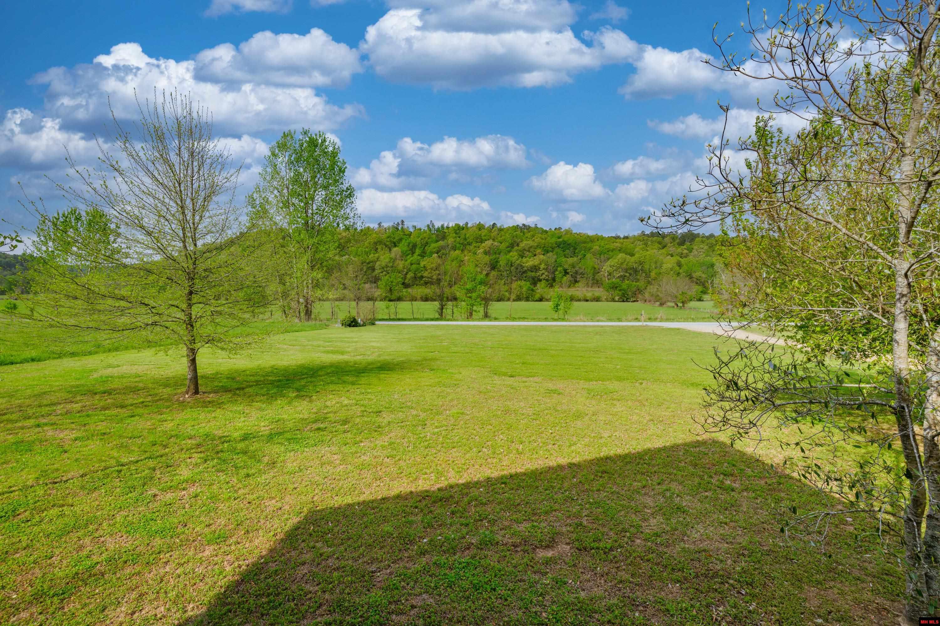 349 MCPHEARSON TERRACE Norfork, AR