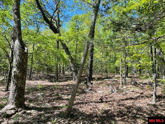 001-05060-008 Zone Ridge Lane