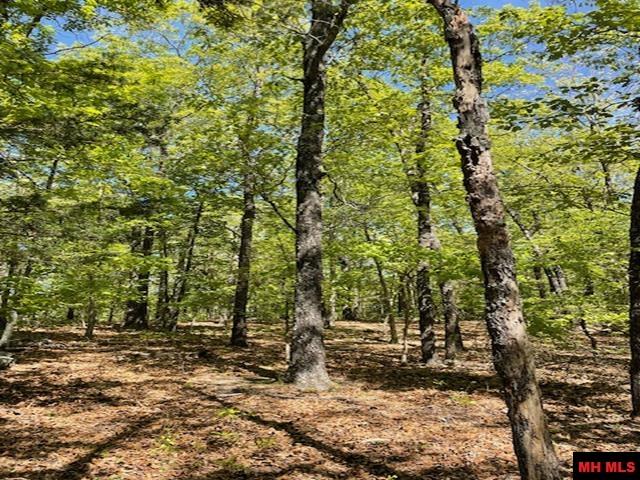 001-05060-008 Zone Ridge Lane