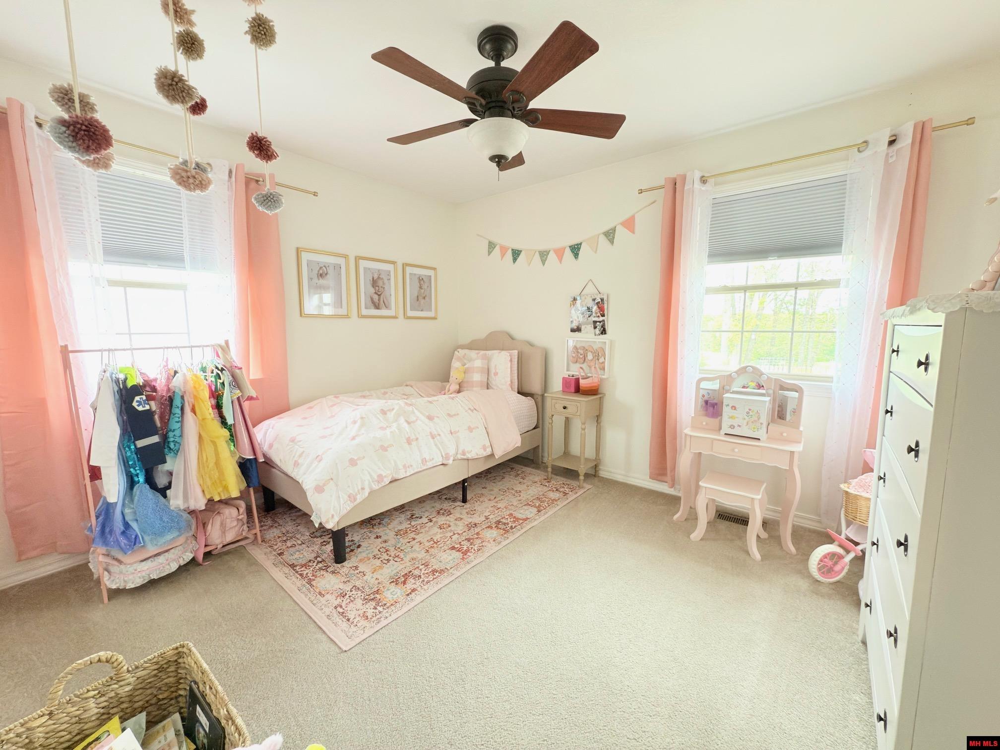 243 MAGNESS DRIVE Gassville, AR
