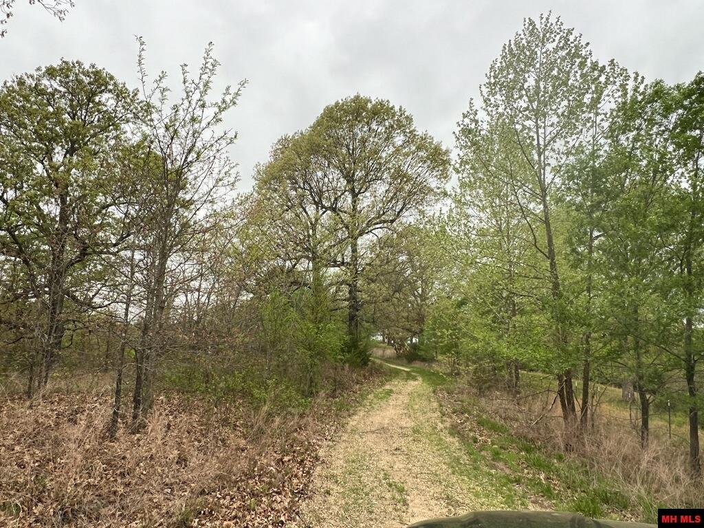 1703050002007 State Hwy D