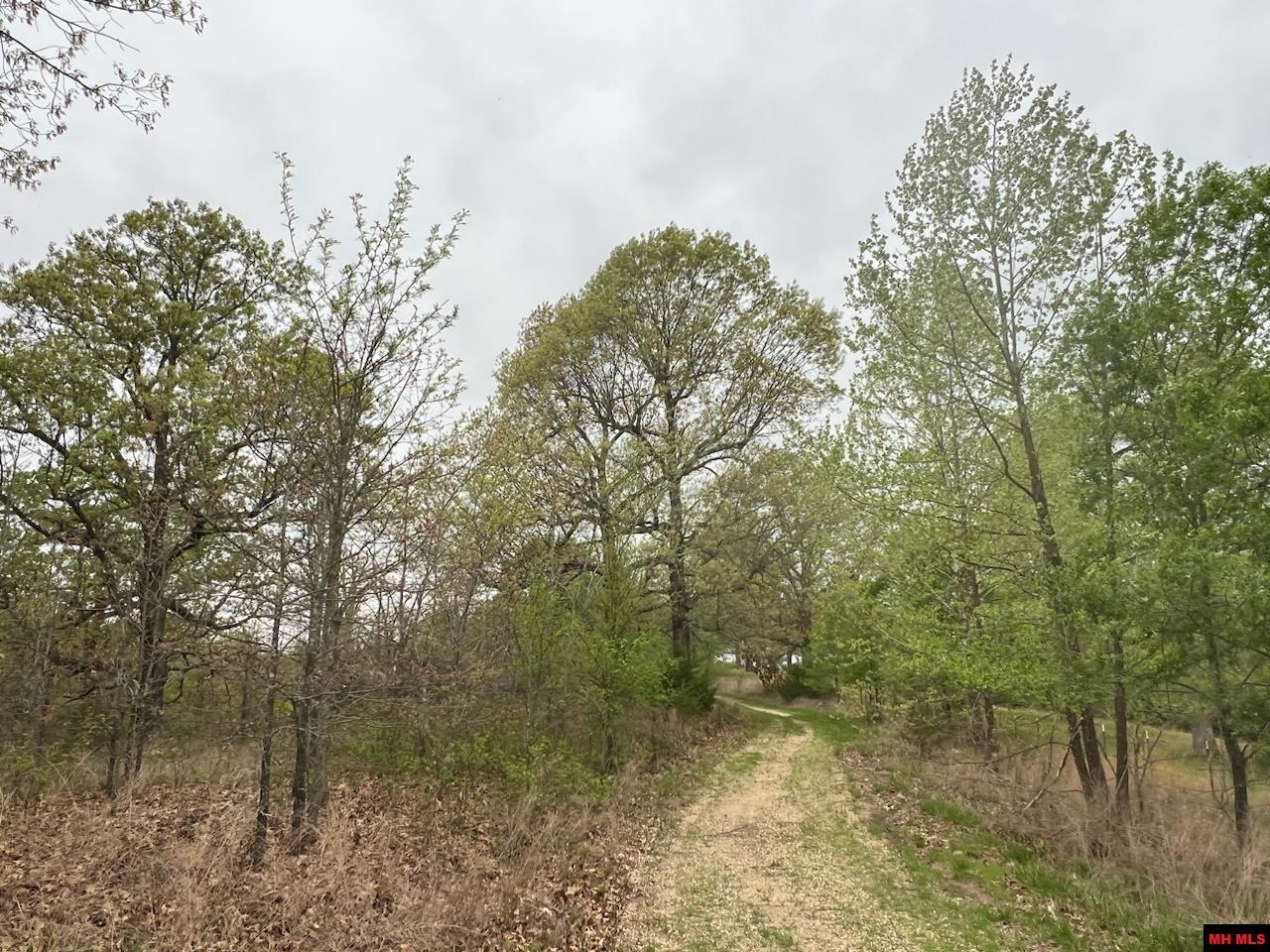 1703050002007 State Hwy D