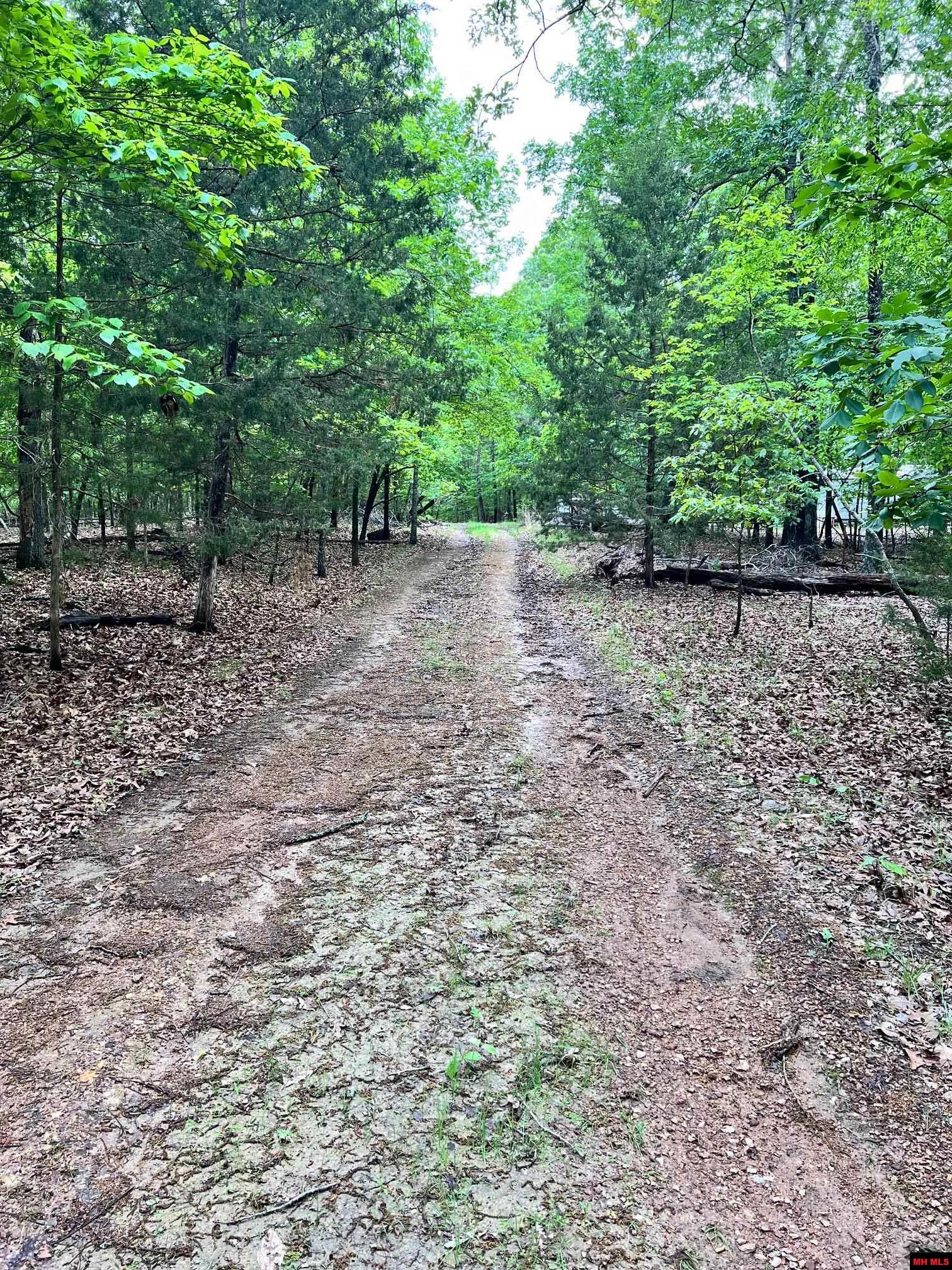 34 & 38 BLUE RIDGE LANE Mountain Home, AR