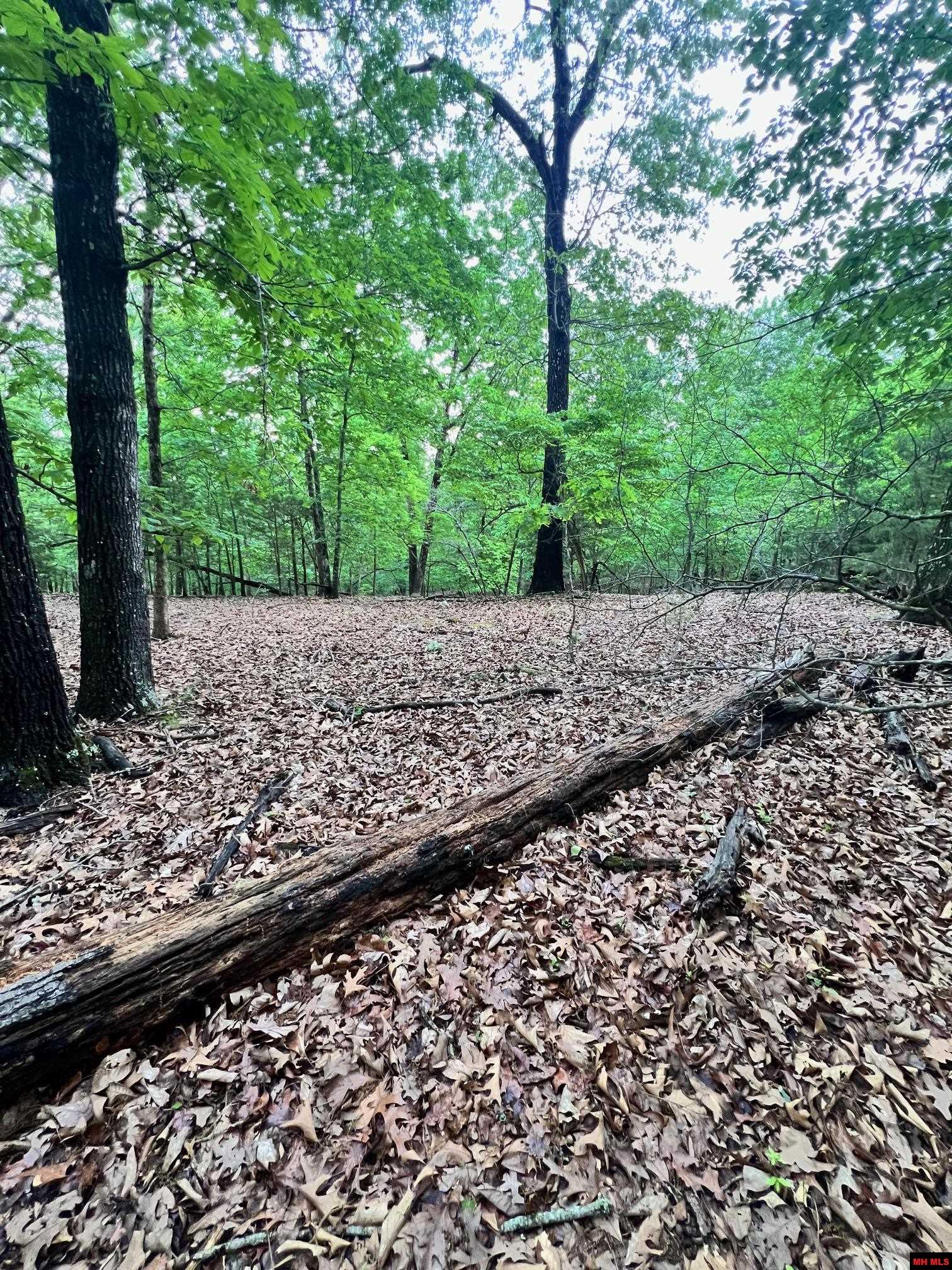 34 & 38 BLUE RIDGE LANE Mountain Home, AR