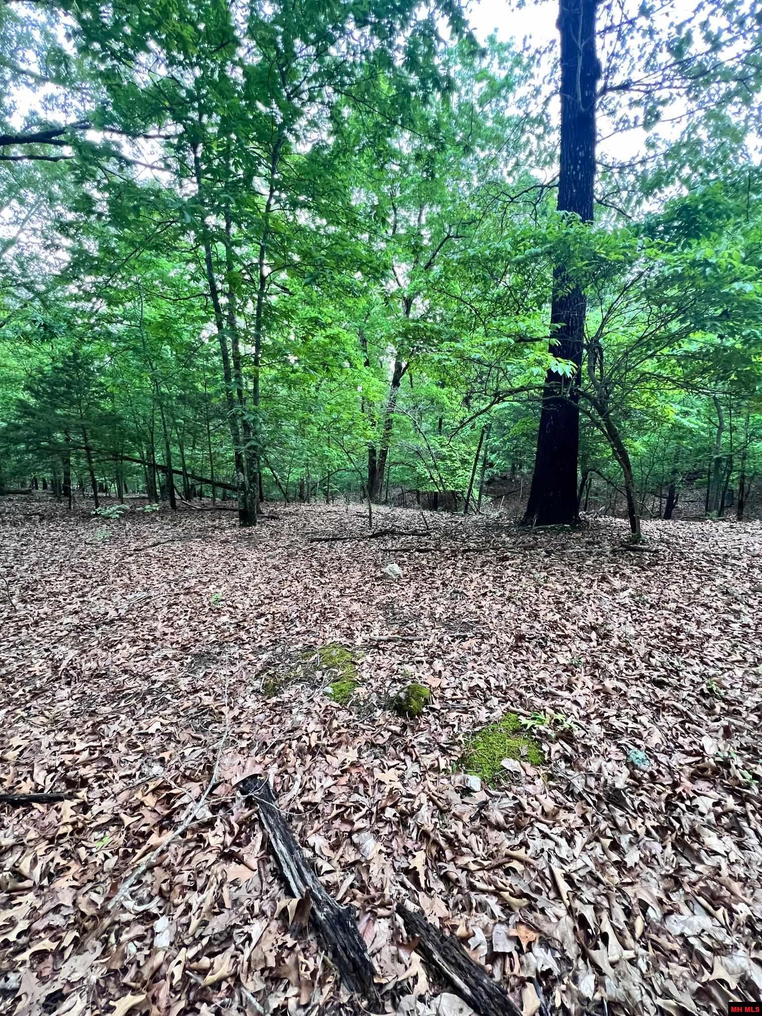 34 & 38 BLUE RIDGE LANE Mountain Home, AR