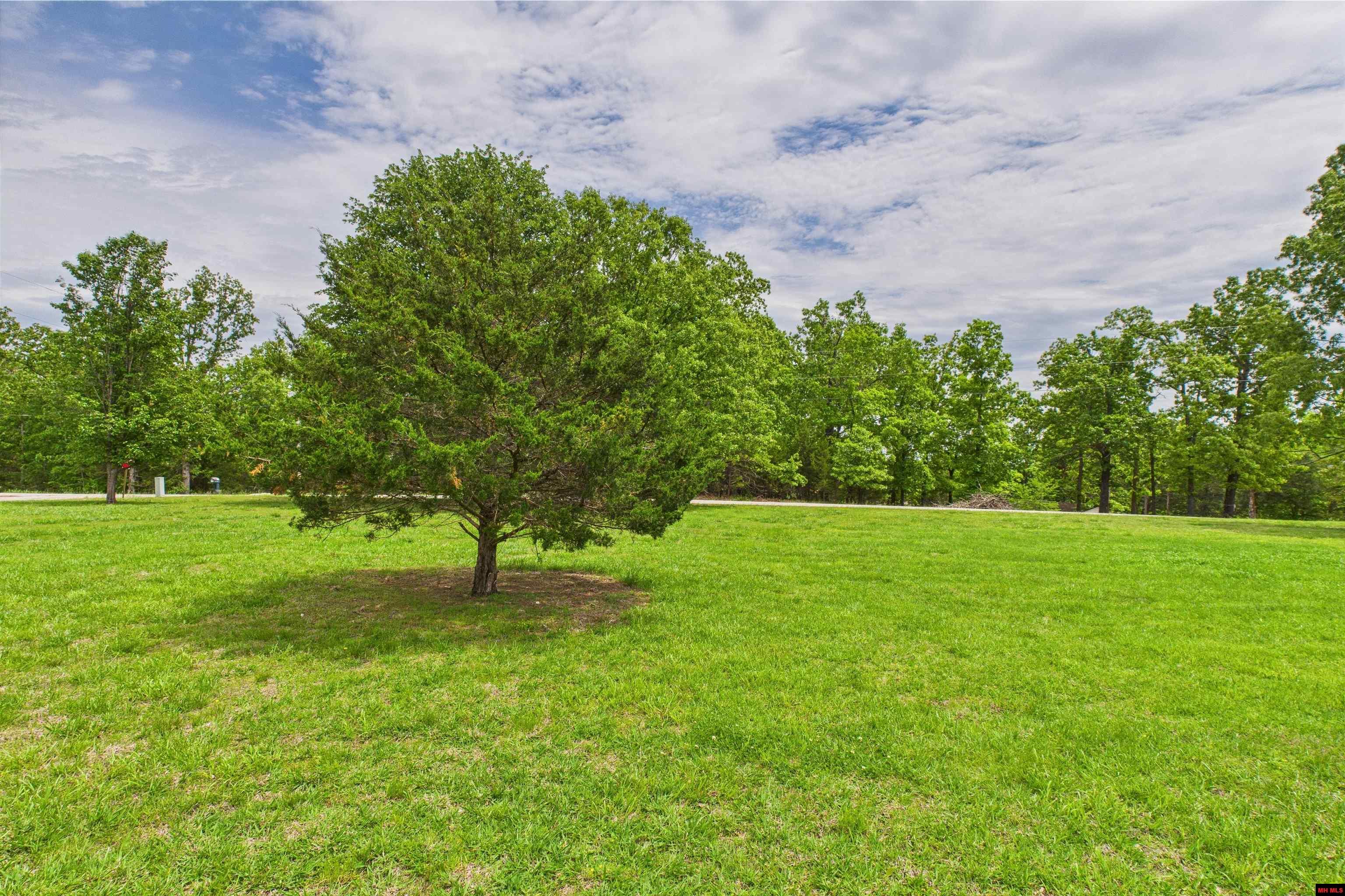 18 WINTER OAK DRIVE Elizabeth, AR 72531