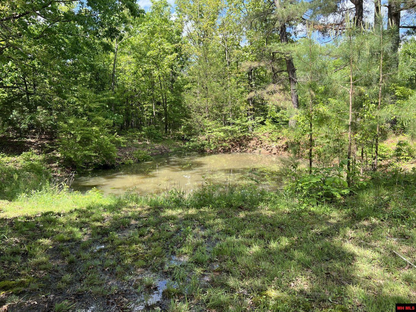 1115 HOLLY ROAD Salem, AR