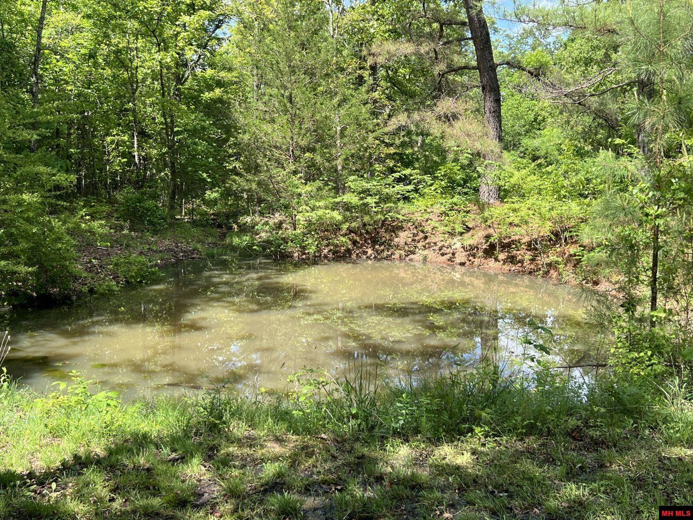 1115 HOLLY ROAD Salem, AR