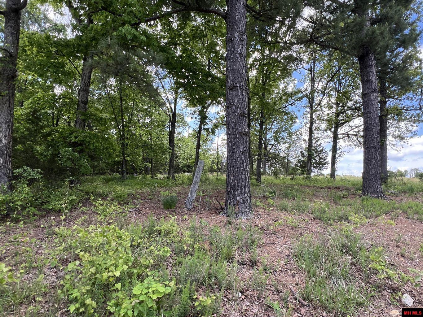 1115 HOLLY ROAD Salem, AR