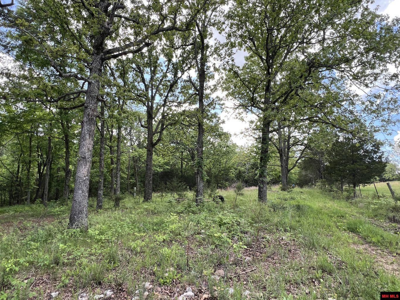 1115 HOLLY ROAD Salem, AR
