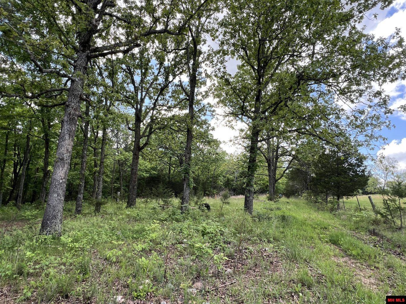 1115 HOLLY ROAD Salem, AR