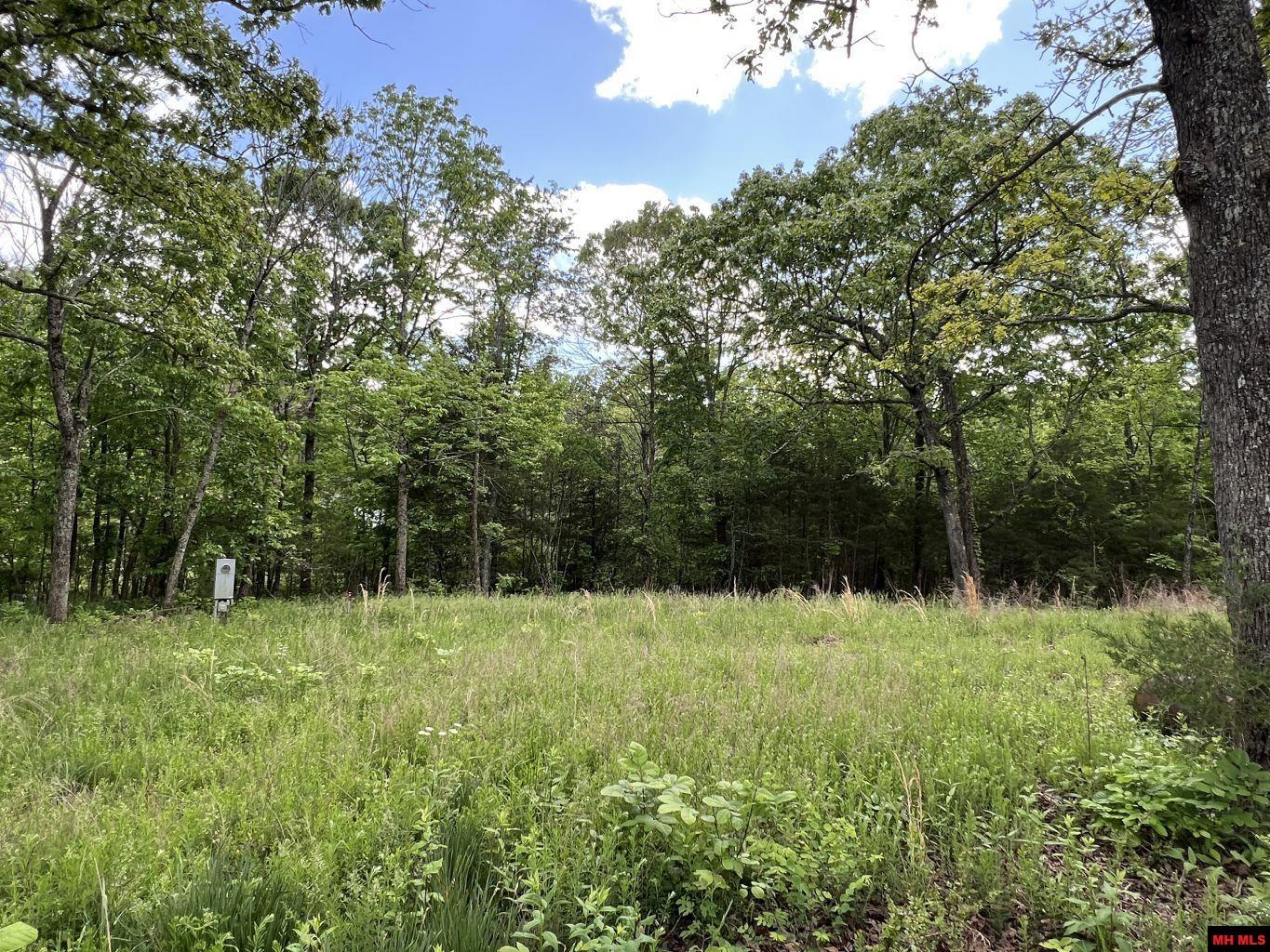 1115 HOLLY ROAD Salem, AR