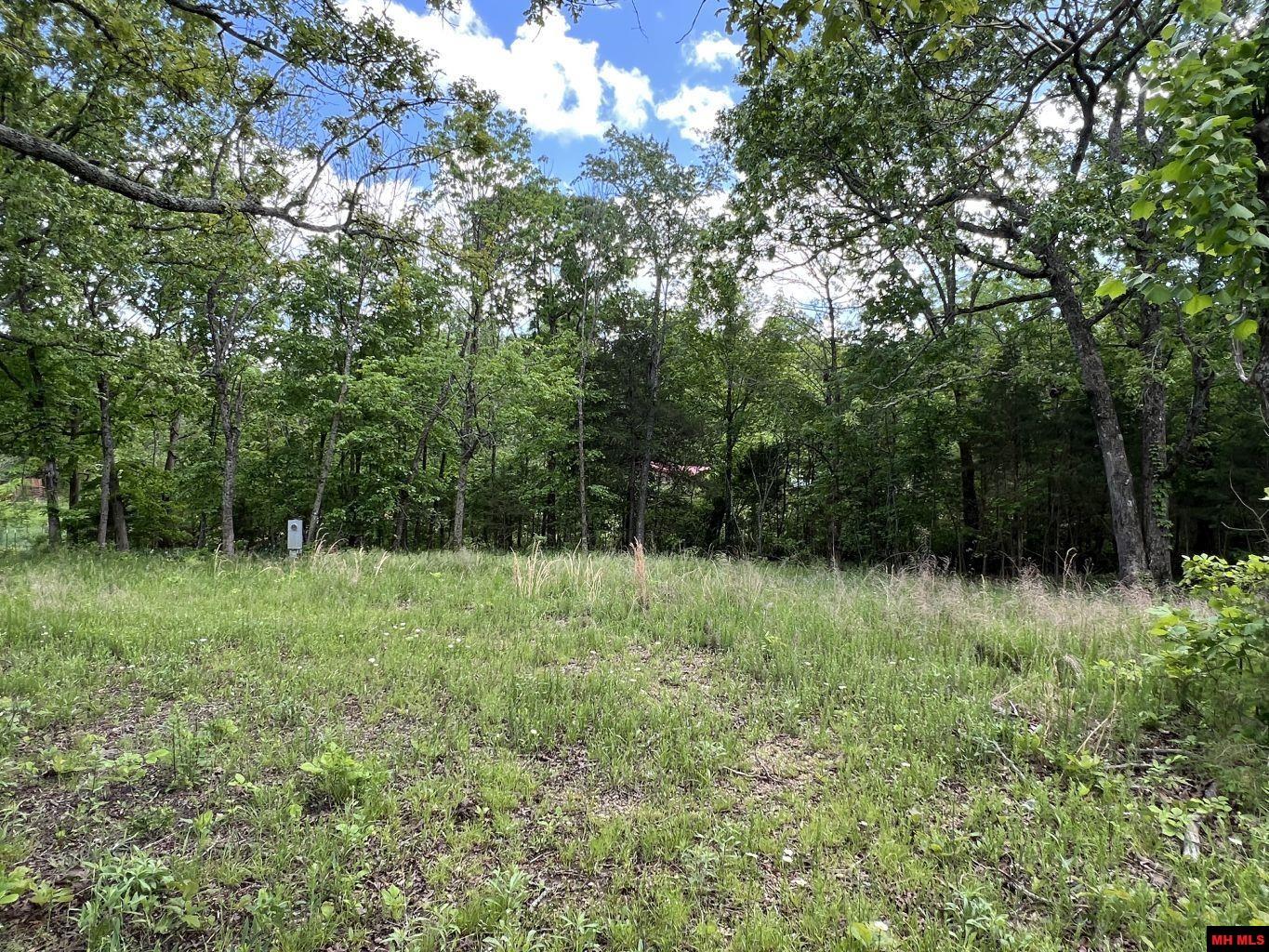 1115 HOLLY ROAD Salem, AR
