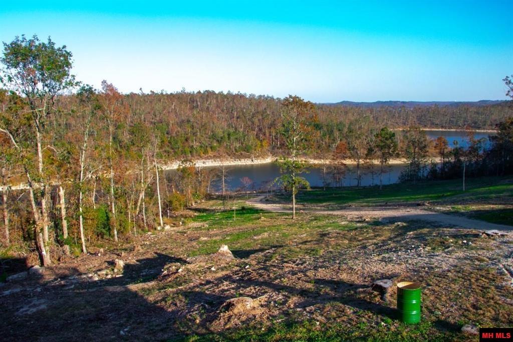 849 SHOAL CREEK ROAD Mountain Home, AR