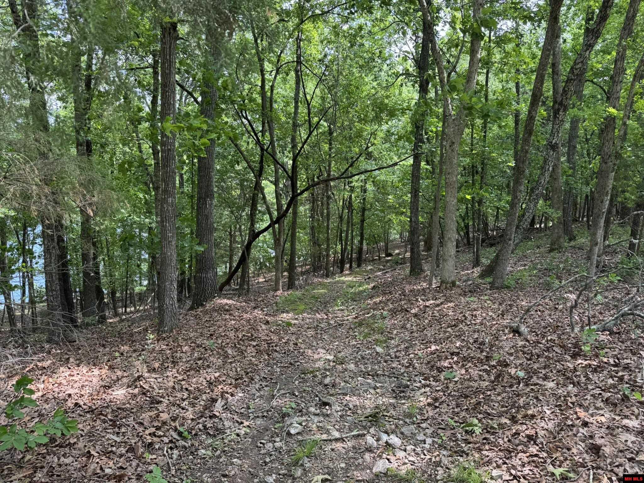 120 PINEHURST POINT Bull Shoals, AR