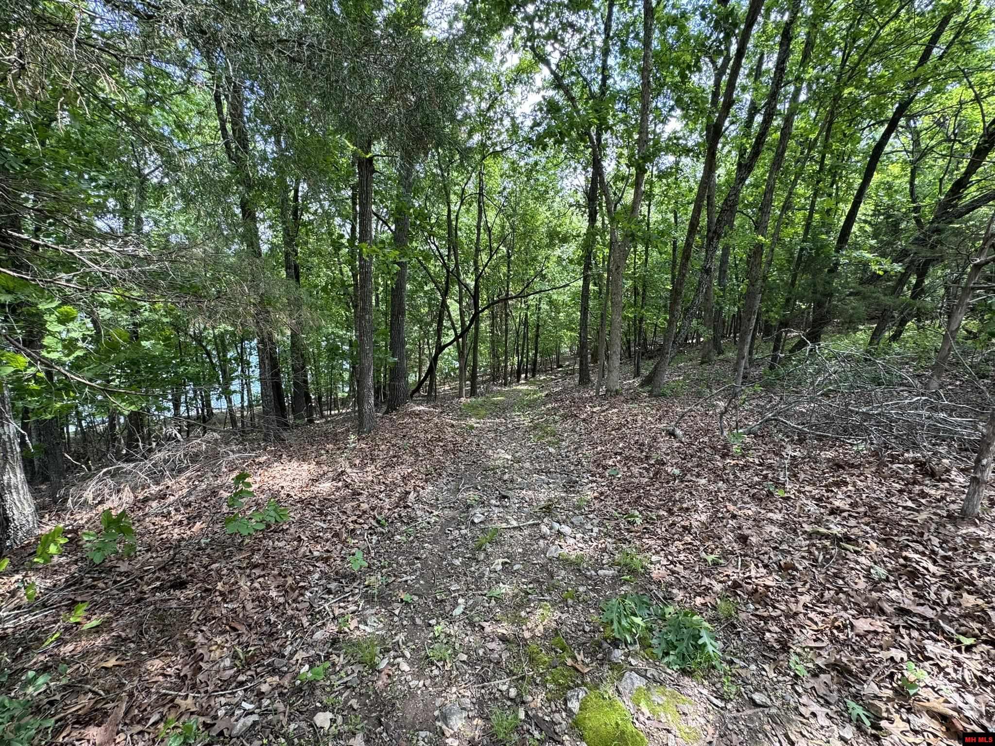 120 PINEHURST POINT Bull Shoals, AR