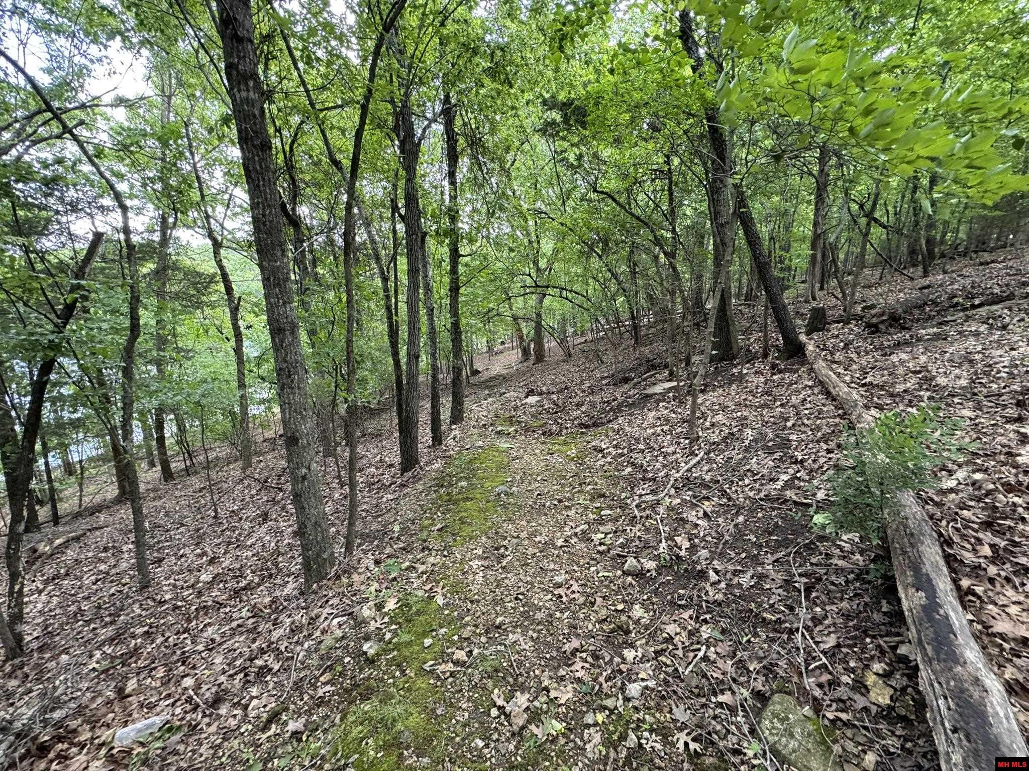 120 PINEHURST POINT Bull Shoals, AR