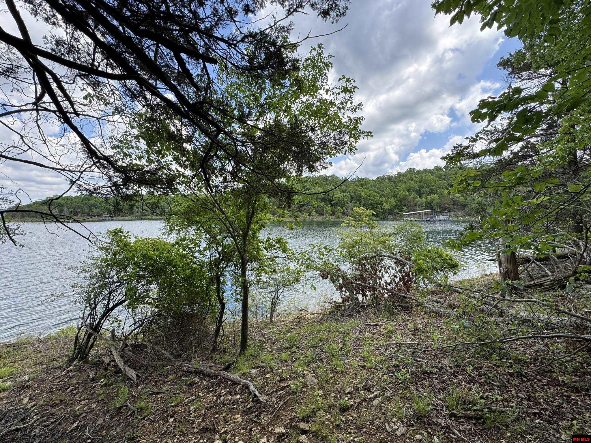 120 PINEHURST POINT Bull Shoals, AR