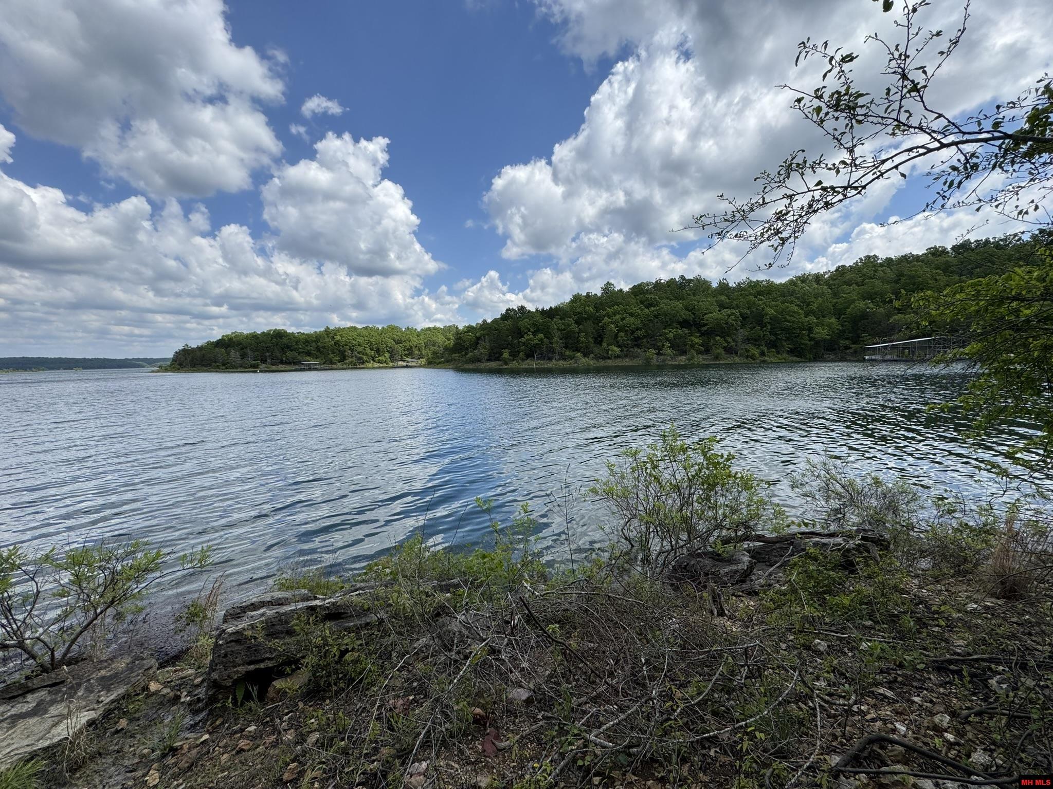 120 PINEHURST POINT Bull Shoals, AR