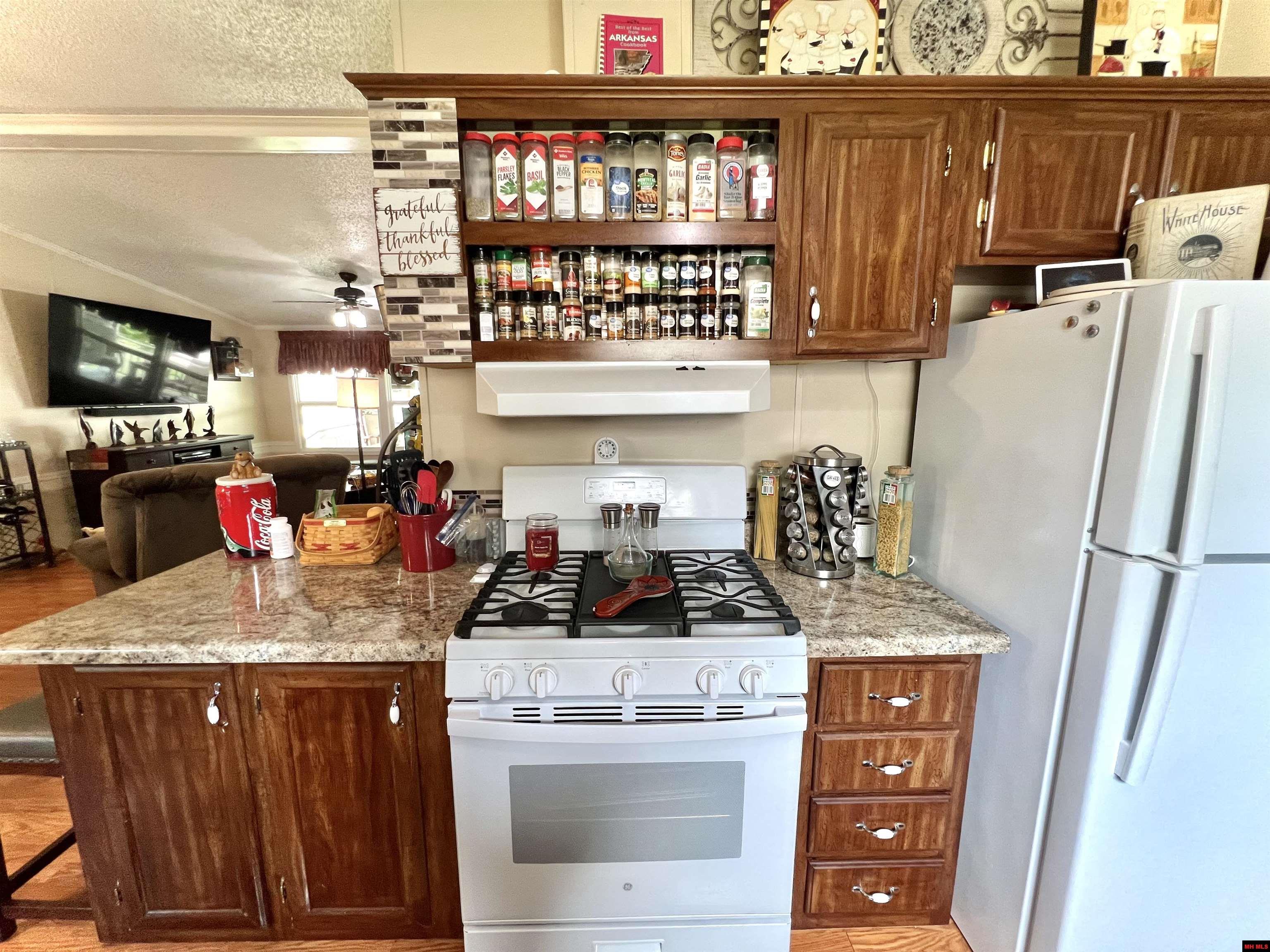 65 FLECK DRIVE Mountain Home, AR